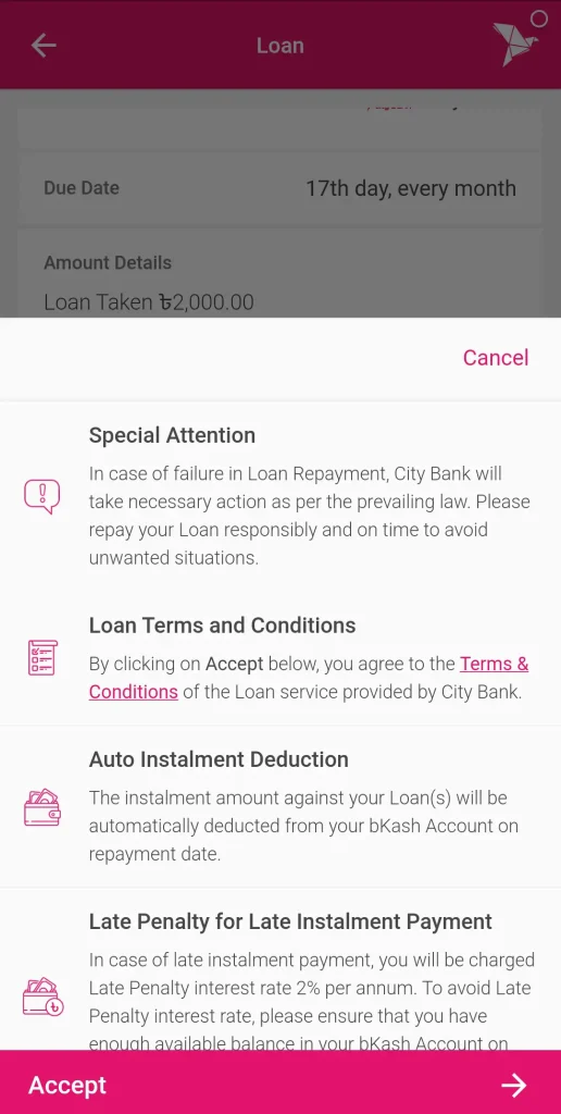 Loan Term & Condition