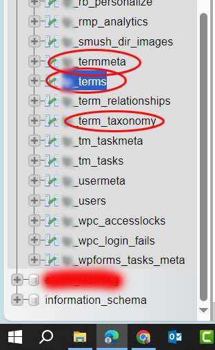 wp_term database table of wordpress